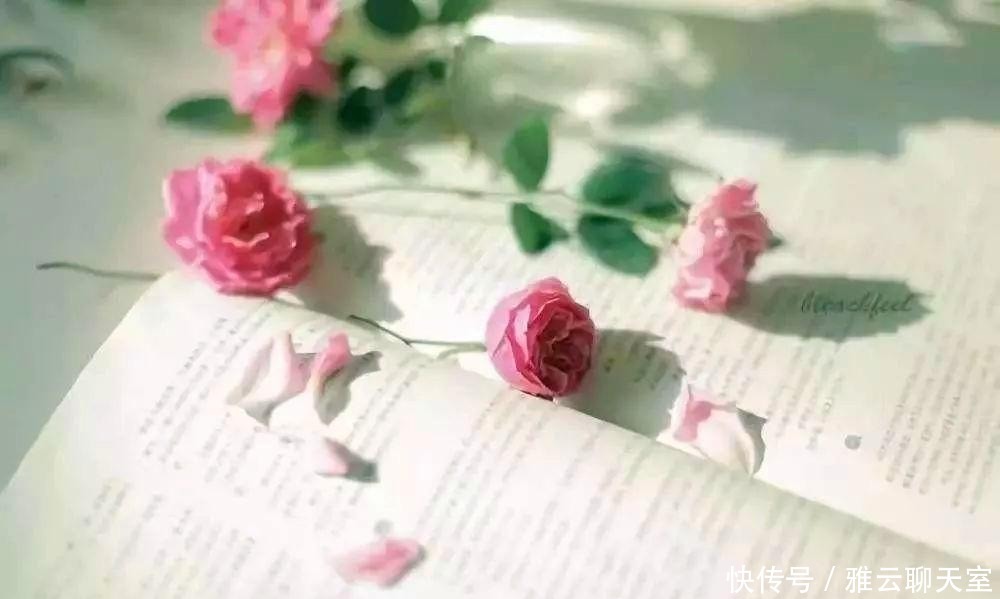 冷暖|你知我冷暖,我伴你一生