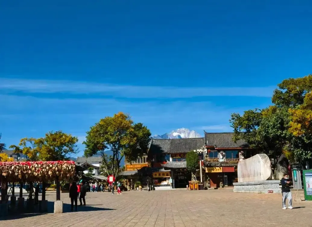 t11508c75c8d343d3e3d9fdcc0e.webp?size=10